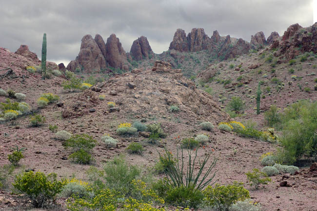 Aguila Mountains